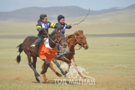 Айргийн дөрөв, тав-Ч.Махбалын халтар, Д.Ганбаатарын хүрэн