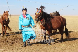 Аймгийн Алдарт уяач Б.Ганбат: Урьд өдөр нь авсан эзнийхээ цолыг мялааж Зүүн бүсийн наадамд хээр азарга дөрөвлөсөн