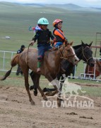 Долоо-Цагаанбандийн Баянжаргалын хонгор халзан, найм-Тордойн Ариунболдын хар