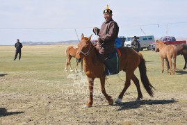 Аймгийн Алдарт уяач С.Өлзийтогтох: Би морьдоо дааганаас нь уядаг ч, 5 наснаасаа хойш л илүү давхидаг юм