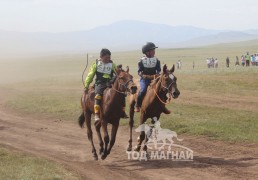 Айргийн дөрөв-О.Батболдын хээр, айргийн тав-Х.Улам-Өрнөхийн хүрэн халзан 