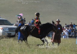 Айргийн дөрөв-Ц.Амарсанаагийн хээр