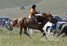 Долоо-Н.Мөнхбадрахын хонгор