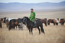 Аймгийн Алдарт уяач М.Пүрэв: Дээгүүр орлоо, айрагдчихлаа гээд хүнд илүүрхэж явсангүй