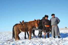 Сумын Алдарт уяач Н.Хосбаяр: Багшийнхаа буянаар хоёр ч удаа улсын наадамд очиж уралдсан