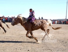 Баттөрийн шарга 