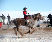 Дамбадаржаагийн Хамар цагаан зээрд 