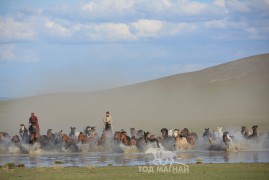 ХЯРГАС СУМ МСУХ-НЫ ТЭРГҮҮН Х.ЦОГТБАЯР: МАНАЙ УЯАЧИД БАРУУН БҮСИЙН НААДМУУДАД АМЖИЛТТАЙ ОРОЛЦСООР ИРСЭН ТҮҮХТЭЙ