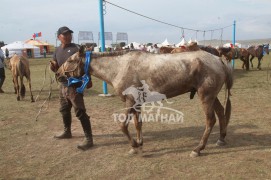 Дуламсүрэнгийн Лхагвасүрэнгийн буурал 