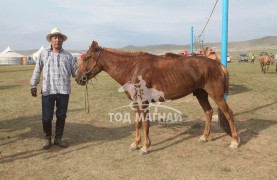 Лхамрагчаагийн Тамирхүүгийн Цахиур зээрд