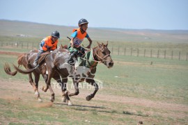 Аймгийн Алдарт уяач Жаргалсайханы Эрдэнэтөгсийн хүрэн