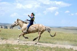 СУМЫН АЛДАРТ УЯАЧ, МАЛЫН ИХ ЭМЧ Н.АЛТАНГЭРЭЛ: САЙН МОРИЙГ УЯЖ, САЙН УЯАЧ БОЛДОГ ГЭЖ АРГАГҮЙ ҮНЭН