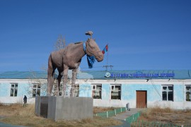 Сумын Алдарт уяач Г.Батзориг: ААВЫНХАА АЛДАРТ ХУВ АЛАГ МОРИНД ХӨШӨӨ БОСГОСОН