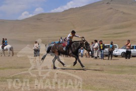 Шижирийн овооны тахилга уралдаан их нас