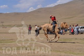 Шижирийн овооны тахилга уралдаан их нас