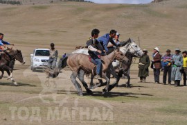 Шижирийн овооны тахилга уралдаан даага