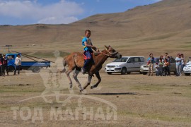 Шижирийн овооны тахилга уралдаан даага