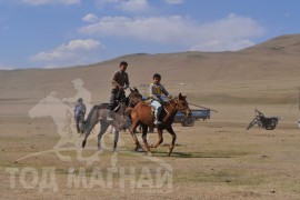 Шижирийн овооны тахилга уралдаан даага