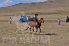 Шижирийн овооны тахилга уралдаан даага