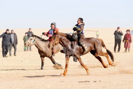 Зургаад Манлай уяач П.Одонбаатарын зээрд