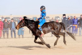 Наймд аймгийн Алдарт уяач Ш.Баянбатын хээр