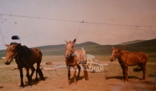 АЙМГИЙН АЛДАРТ УЯАЧ Г.БИЙ-ЭРДЭНЭ: БАГА ХАЛТАР МААНЬ НАМАЙГ ОЛОН ЖИЛ БАЯРЛУУЛАХ ХУРДАН БУЯН БАЙСАН