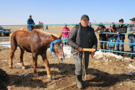 “Сэцэн ханы хурд-2018” хаврын бүсийн уралдаан амжилттай зохион байгуулагдлаа