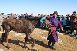 “Сэцэн ханы хурд-2018” хаврын бүсийн уралдаан амжилттай зохион байгуулагдлаа