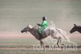 Т.Ихбаярын уяаны морьд өнгөтэй байна