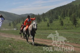 Гачууртын сунгаа их нас