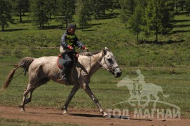 Гачууртын сунгаа их нас