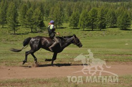 Гачууртын сунгаа их нас