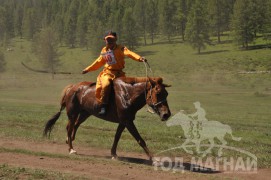 Гачууртын сунгаа их нас