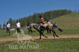 Гачуурт сунгаа