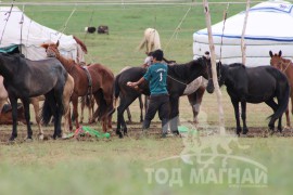 Тод манлай Д.Ононгийн уяагаар